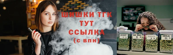 стаф Волоколамск