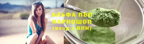 стаф Волоколамск