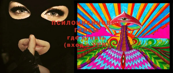 стаф Волоколамск